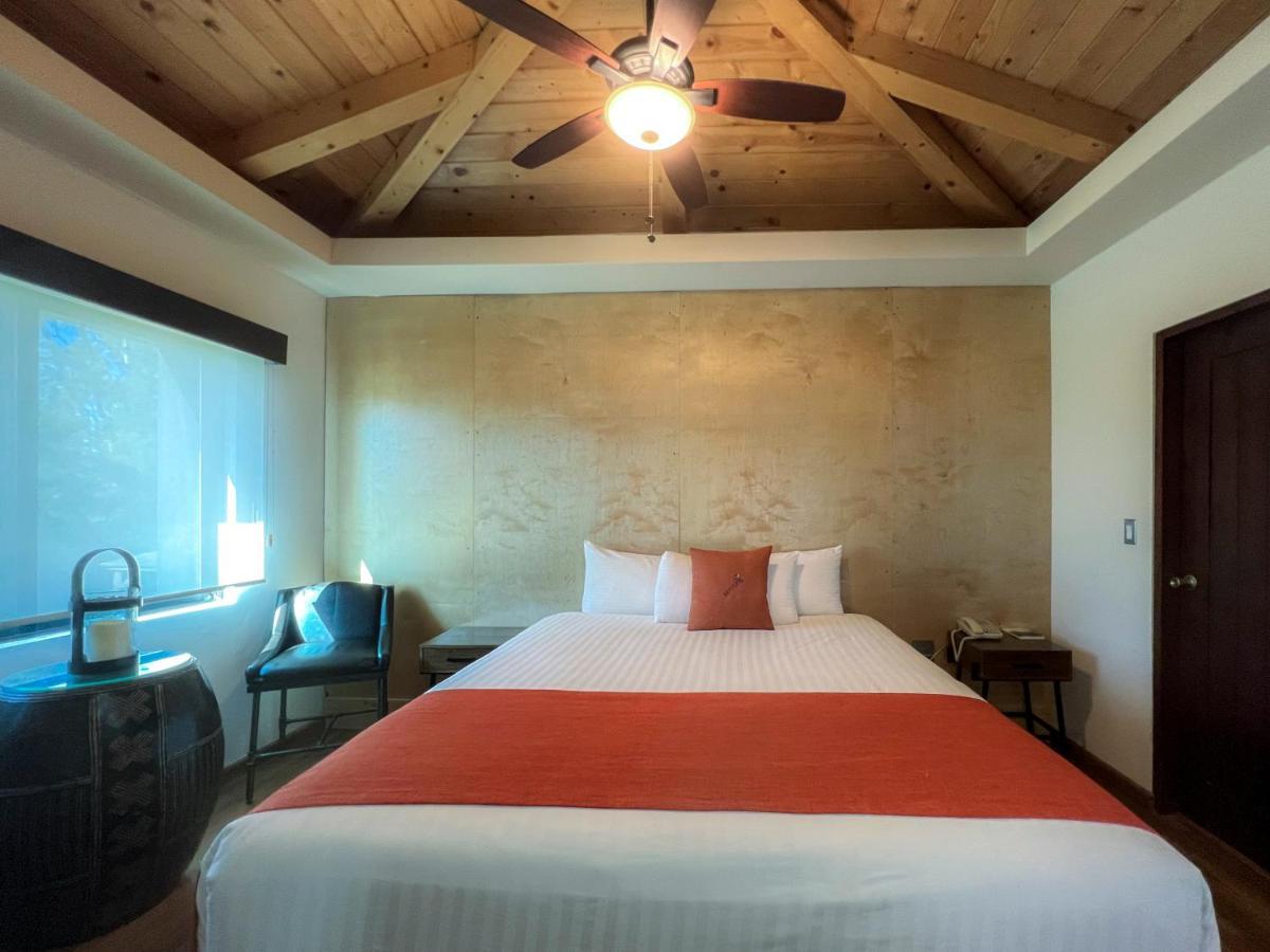 Bottega Hotel Boutique Valle de Guadalupe Zimmer foto